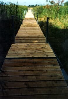 Wetland Boardwalk